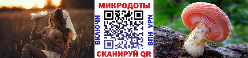 гидра ссылка купить закладку Озёры Галлюциногенные грибы MAGIC MUSHROOMS